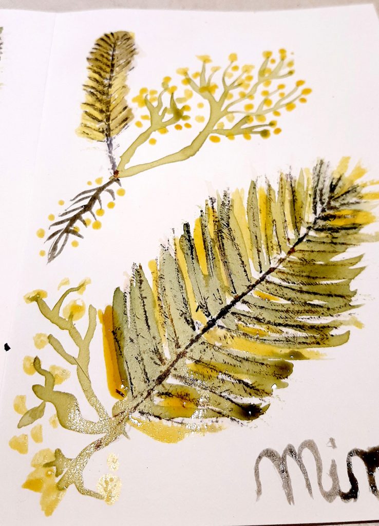 couleurmimosa